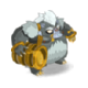 Koalvissie le Chauve