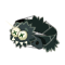 Araknoture