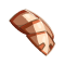 Carapace de Scorbute