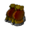 Bottes du Minotoror