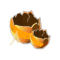 Coquille de Dragoeuf Doré