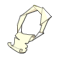 Amupapier