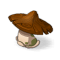Champignon Ligneux