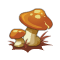 Champignon