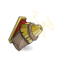Vermifuge de Nibé Lulle