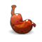 Estomac du Perkü