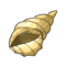 Conque Marine