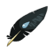 Plume de Brabuzar