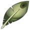 Plume d'Ilyzaelle