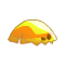Dragocoiffe Dorée