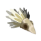 Kwakoiffe de Vent