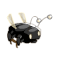 Scaracoiffe Noire