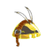 Coiffe du Dragoeuf volant