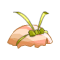 Coiffe de la Dragueuse