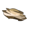 Chapignon