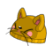 Bonnet Ko