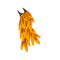 Kwape de Flammes