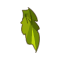 Vegacape