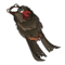 Cape du Rat Noir