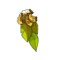 Banana Cape
