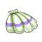 Coquillage Accio
