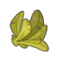 Feuille de Fourbasse