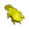 Feuille de Tournesol Sauvage