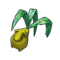 Mandragorgonzola