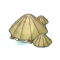 Patelle