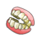 Dentier de Malle Outillée