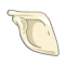 Scapula du Comte Harebourg