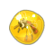 Ambre