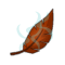 Plume de Buveur