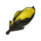 Plume de Corbac Apprivoisé