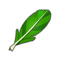 Plume de Piou Vert