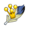 Plume du Mansot Royal