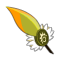 Pluma de gobvio