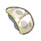 Peau de Shin Larve