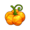 Citrouille