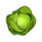 Feuille de Salace