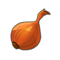 Oignon