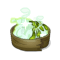 Mijoté Récréatif Fortifiant
