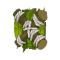 Bouclier du Sadida